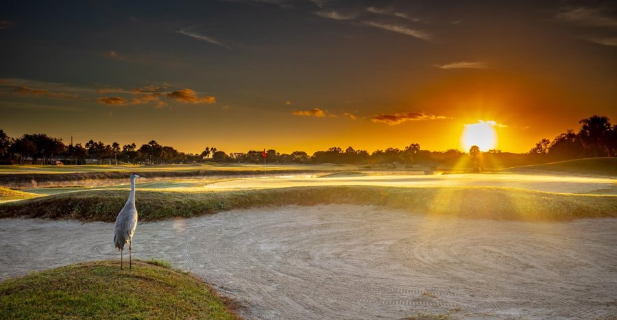 Remington Golf Club