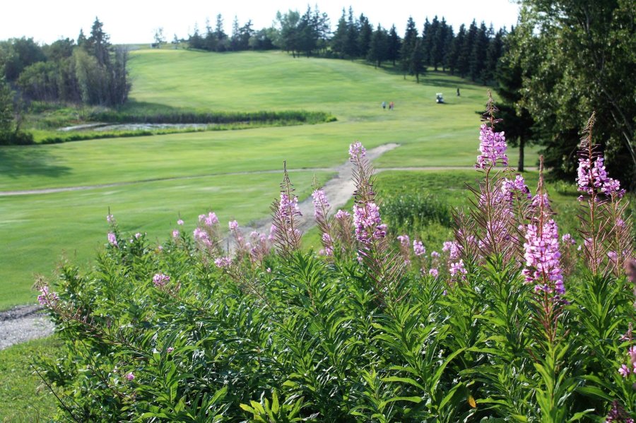 Vermilion Golf & Country Club