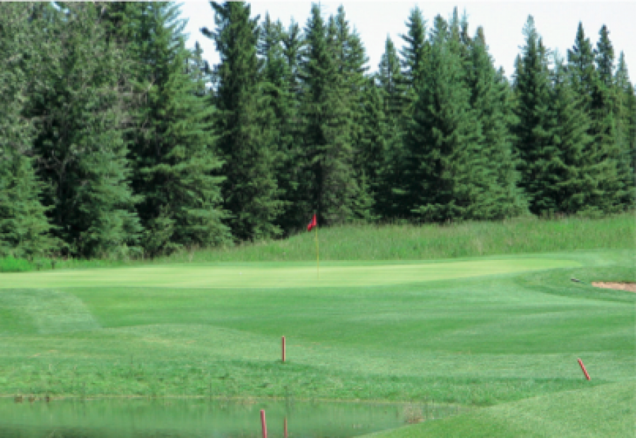 The Coyote Golf Club